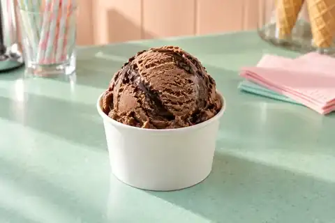 Chocolate Fudge Scoop served as a single listed menu portion